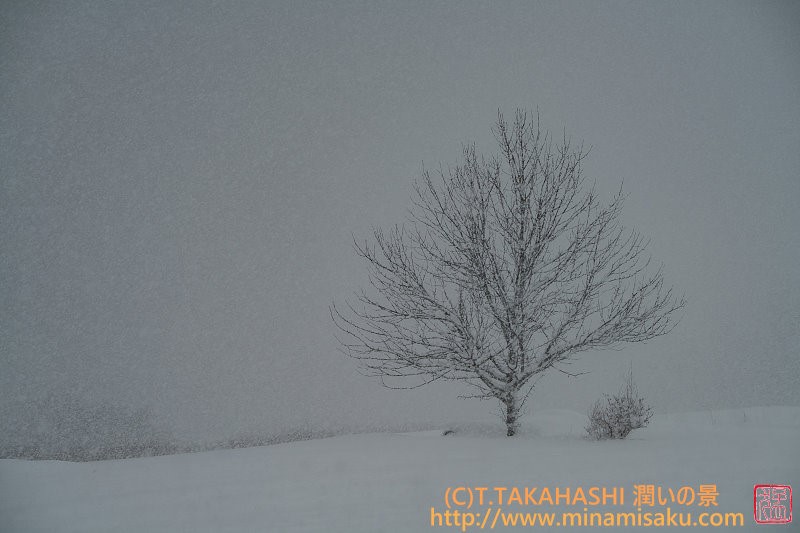 ../Images/7R250316 (145).jpg